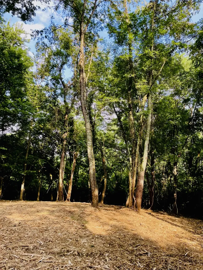 4091 Akin Lane Burlington KY 41005