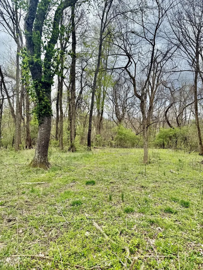 4091 Akin Lane Burlington KY 41005