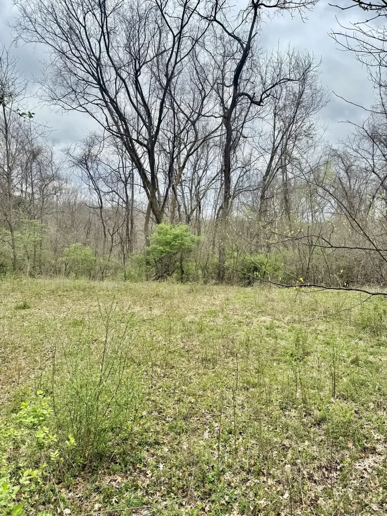 4091 Akin Lane Burlington KY 41005