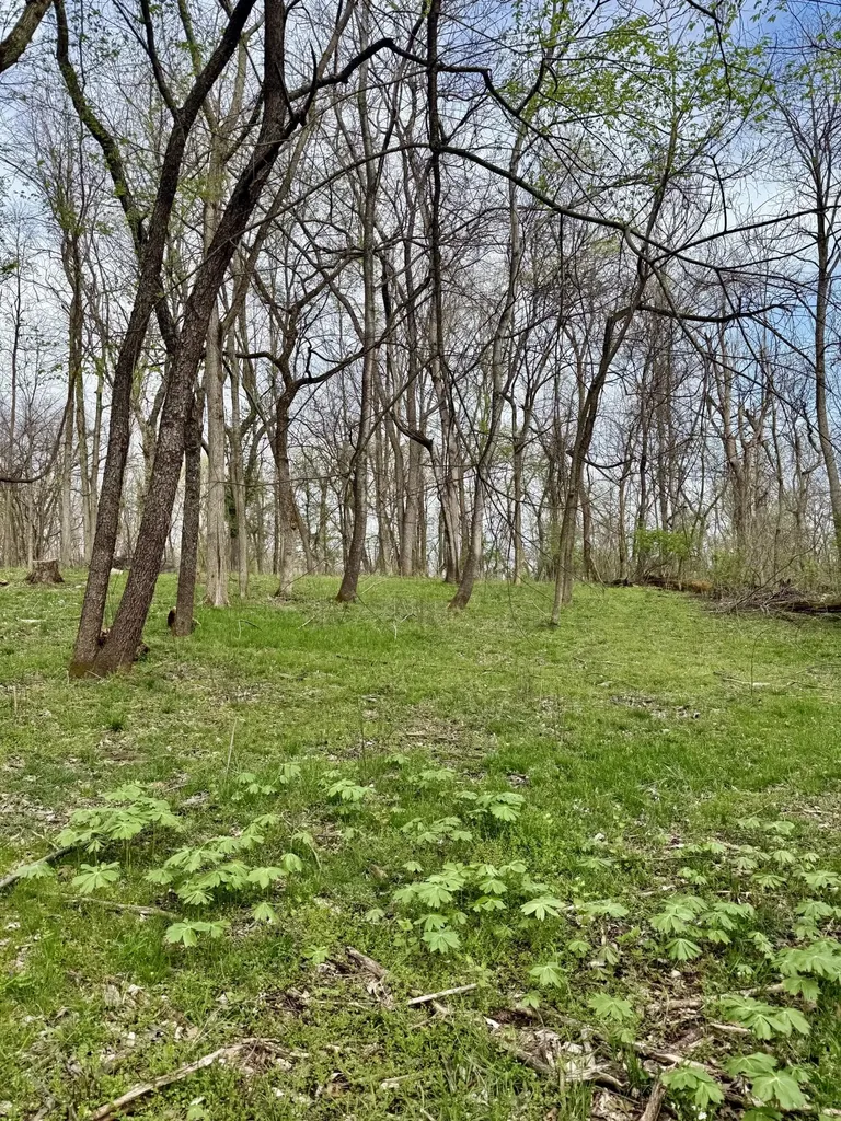 4091 Akin Lane Burlington KY 41005