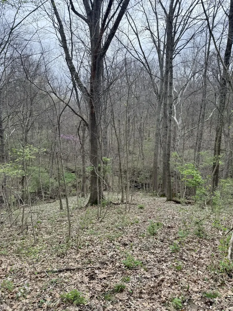 4091 Akin Lane Burlington KY 41005