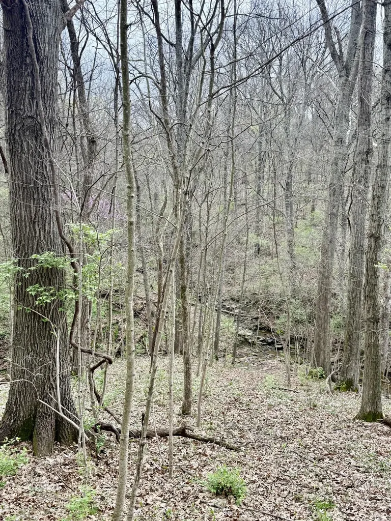 4091 Akin Lane Burlington KY 41005
