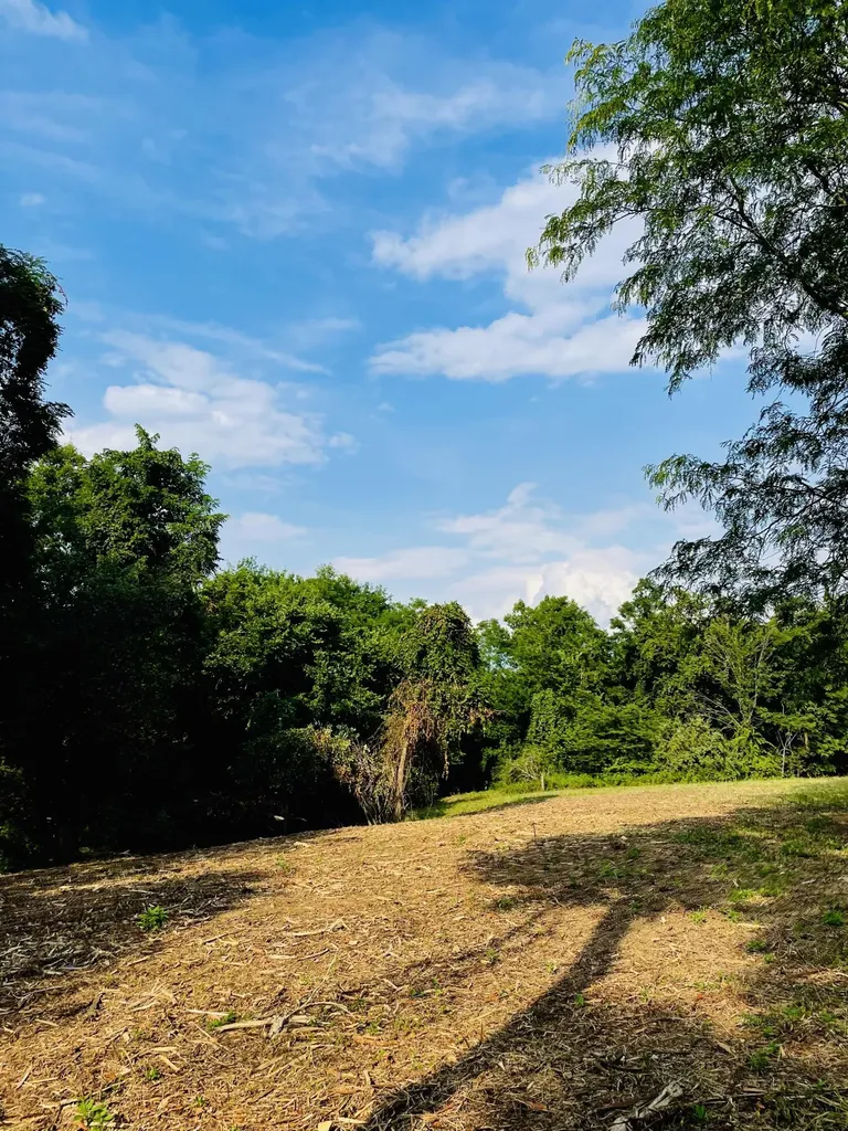 4107 Akin Lane Burlington KY 41005