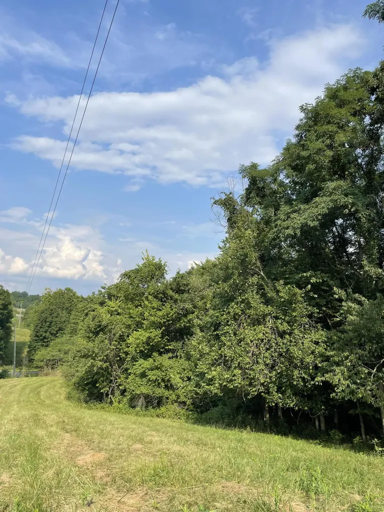 4107 Akin Lane Burlington KY 41005