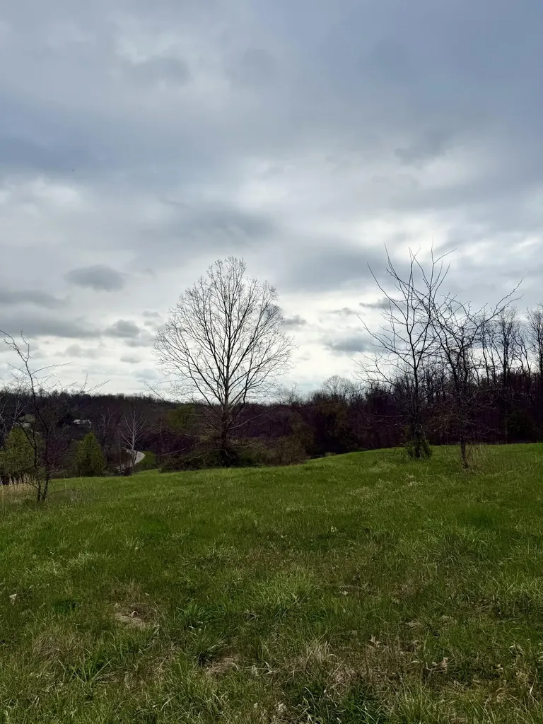4107 Akin Lane Burlington KY 41005