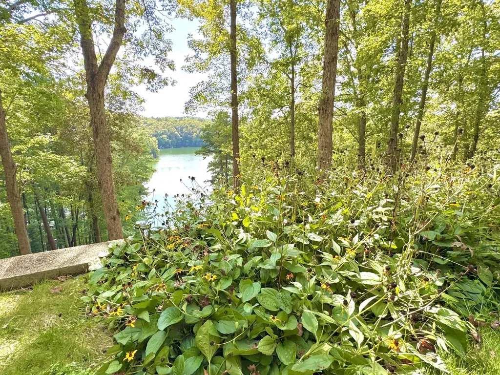 155 Rocky Point Road East Bernstadt KY 40729