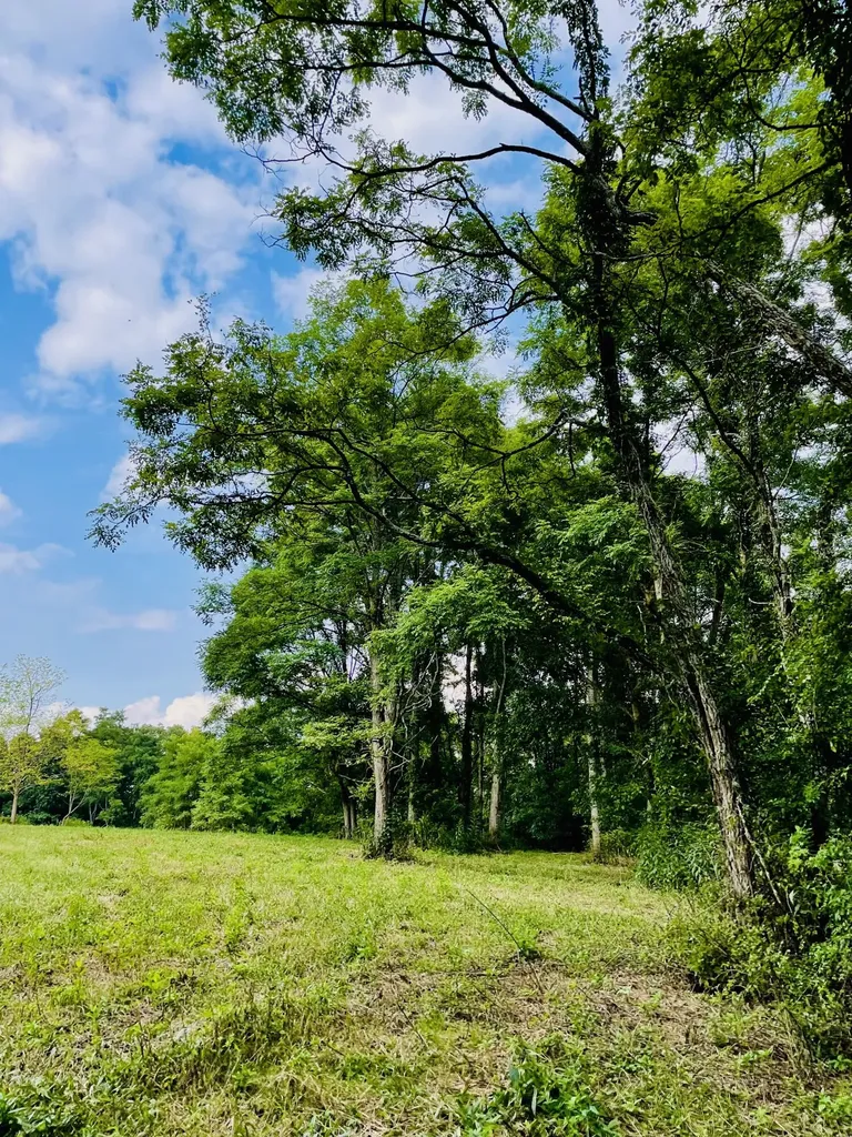 4151 Akin Lane Burlington KY 41005
