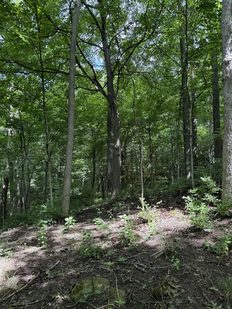 4151 Akin Lane Burlington KY 41005