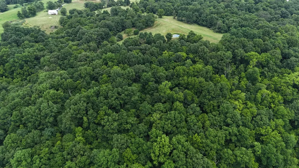 4151 Akin Lane Burlington KY 41005