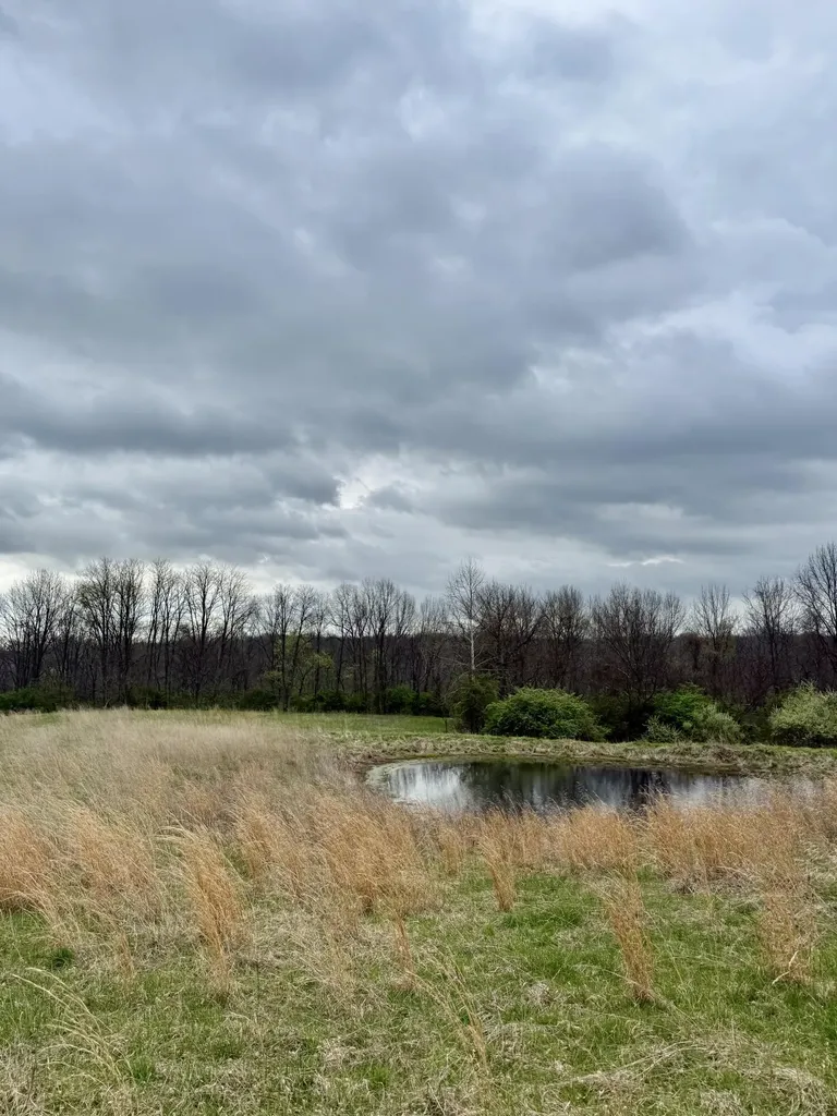 4151 Akin Lane Burlington KY 41005