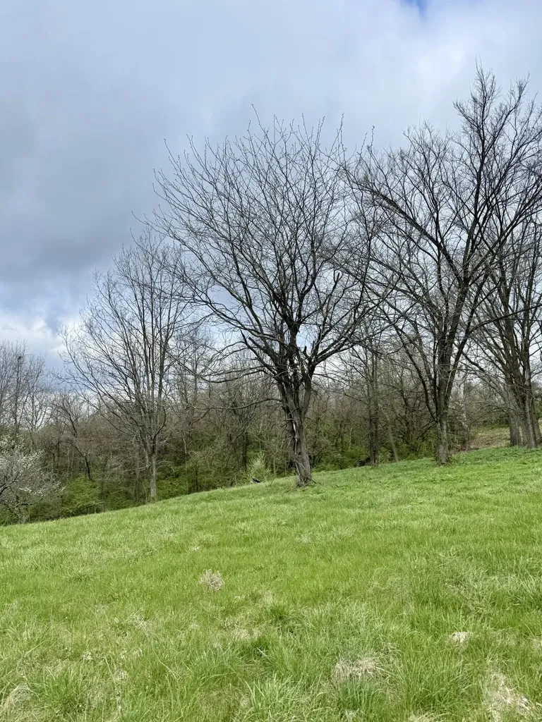 4151 Akin Lane Burlington KY 41005