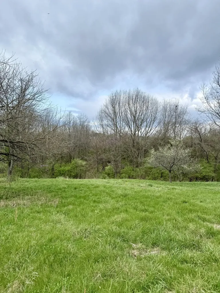 4151 Akin Lane Burlington KY 41005