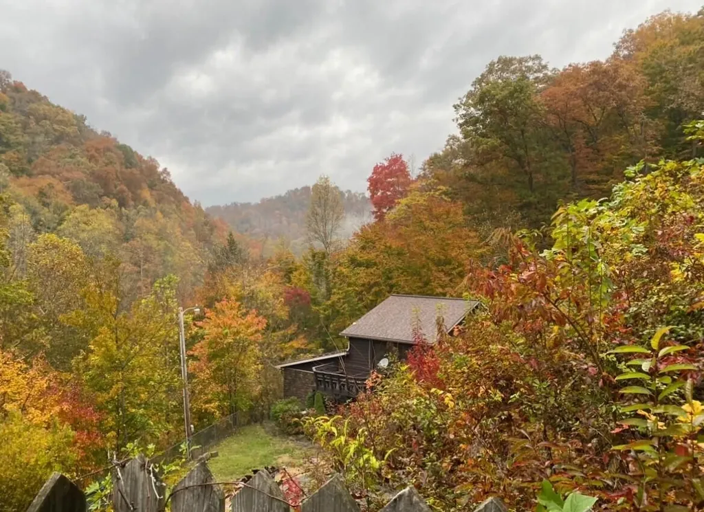 1085 Spring Branch Road Jeremiah KY 41826