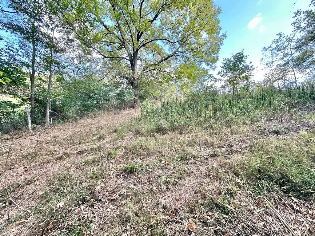 2524 Us 68 Ewing KY 41039