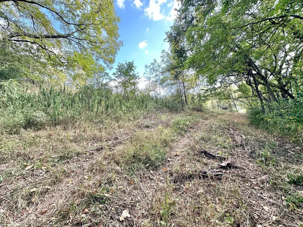 2524 Us 68 Ewing KY 41039