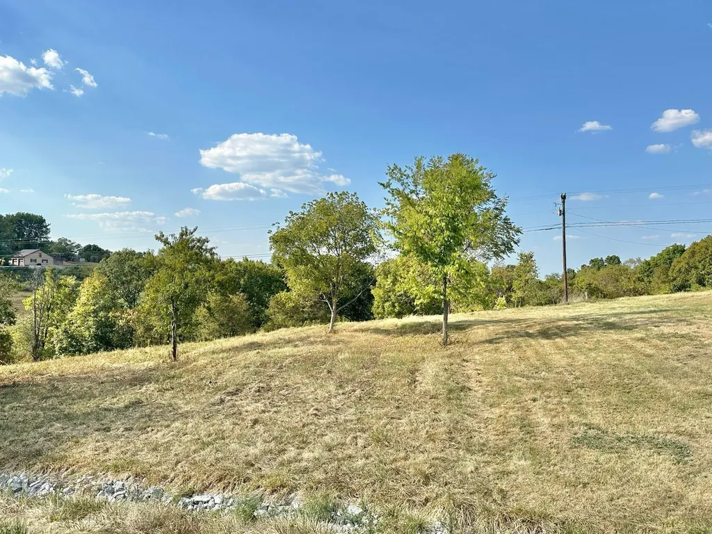 2524 Us 68 Ewing KY 41039