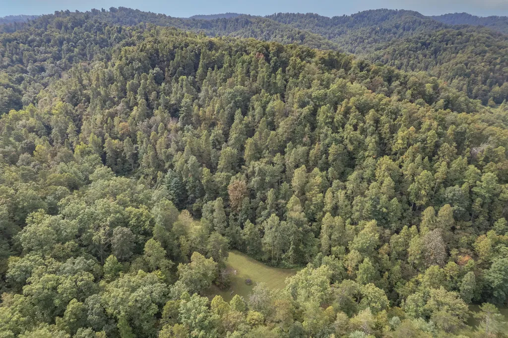1065 Brushy Fork Road West Liberty KY 41472