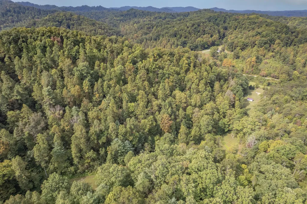1065 Brushy Fork Road West Liberty KY 41472
