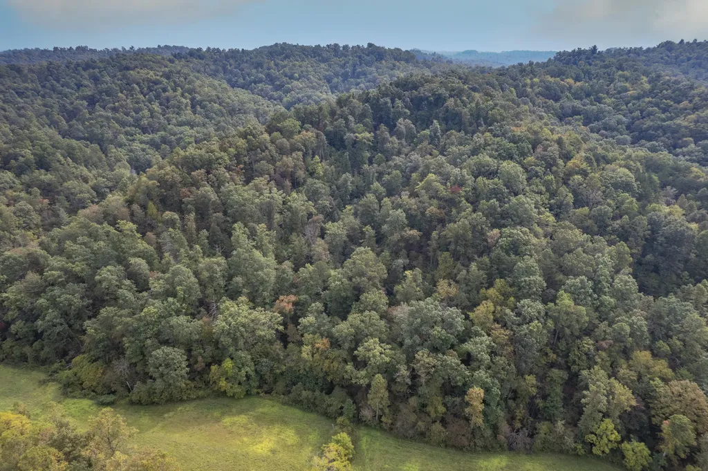 1065 Brushy Fork Road West Liberty KY 41472