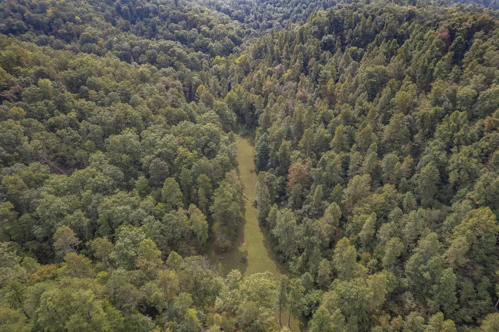 1065 Brushy Fork Road West Liberty KY 41472