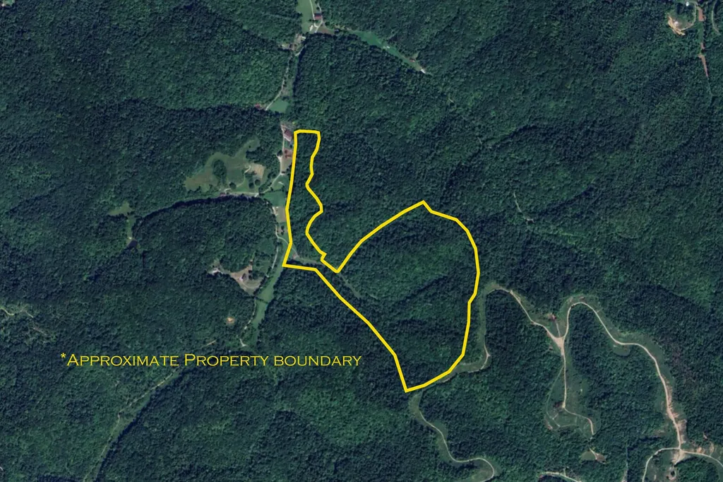 1065 Brushy Fork Road West Liberty KY 41472