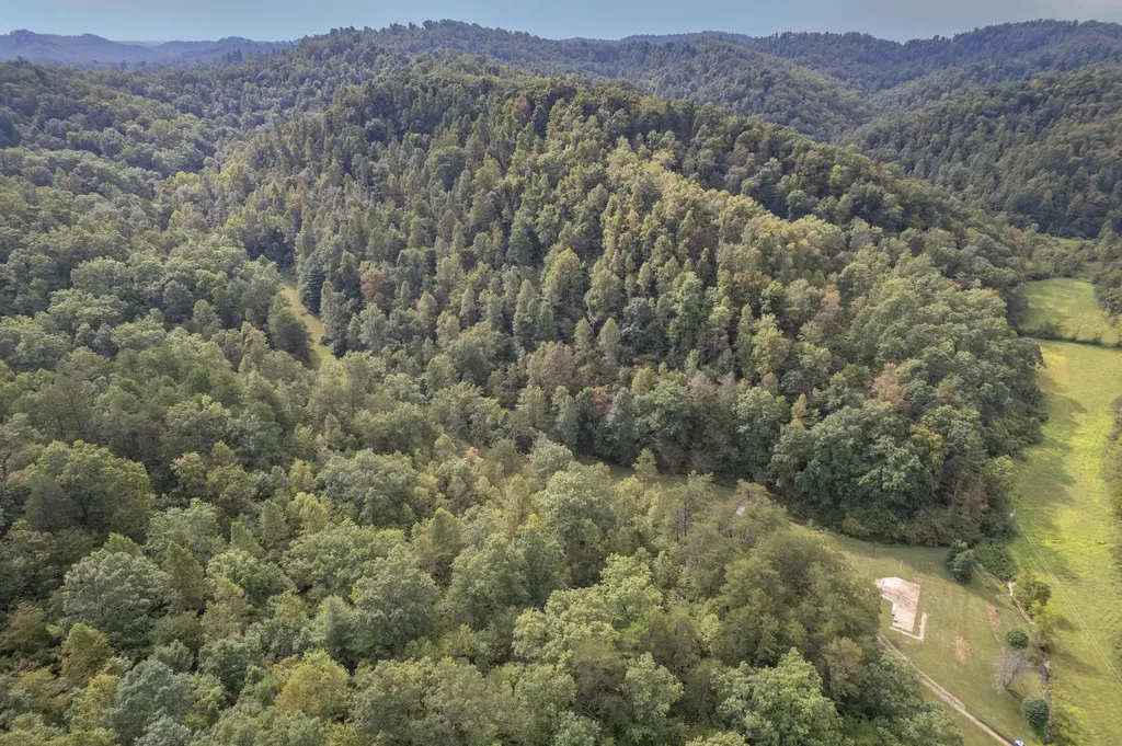 1065 Brushy Fork Road West Liberty KY 41472