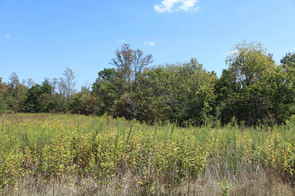 2706 Locust Grove Road Carlisle KY 40311