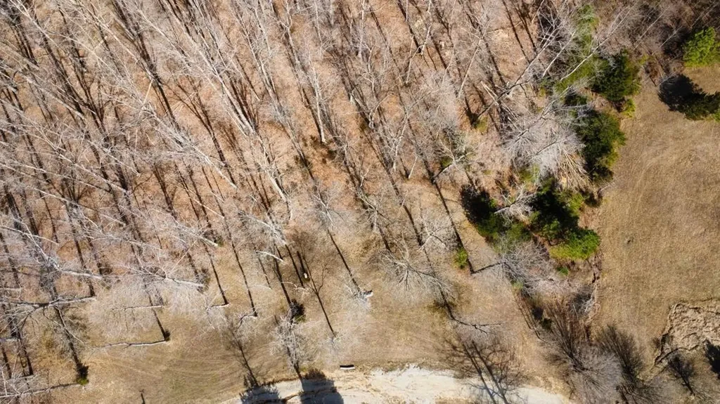 Lot 11 Tom O'ryan Road Monticello KY 42633