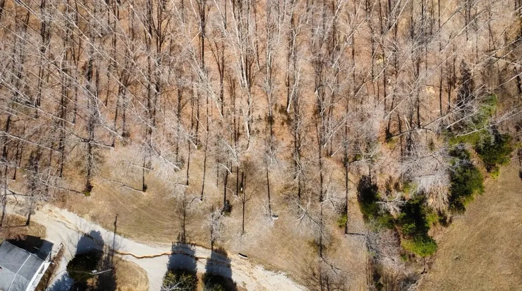 Lot 11 Tom O'ryan Road Monticello KY 42633