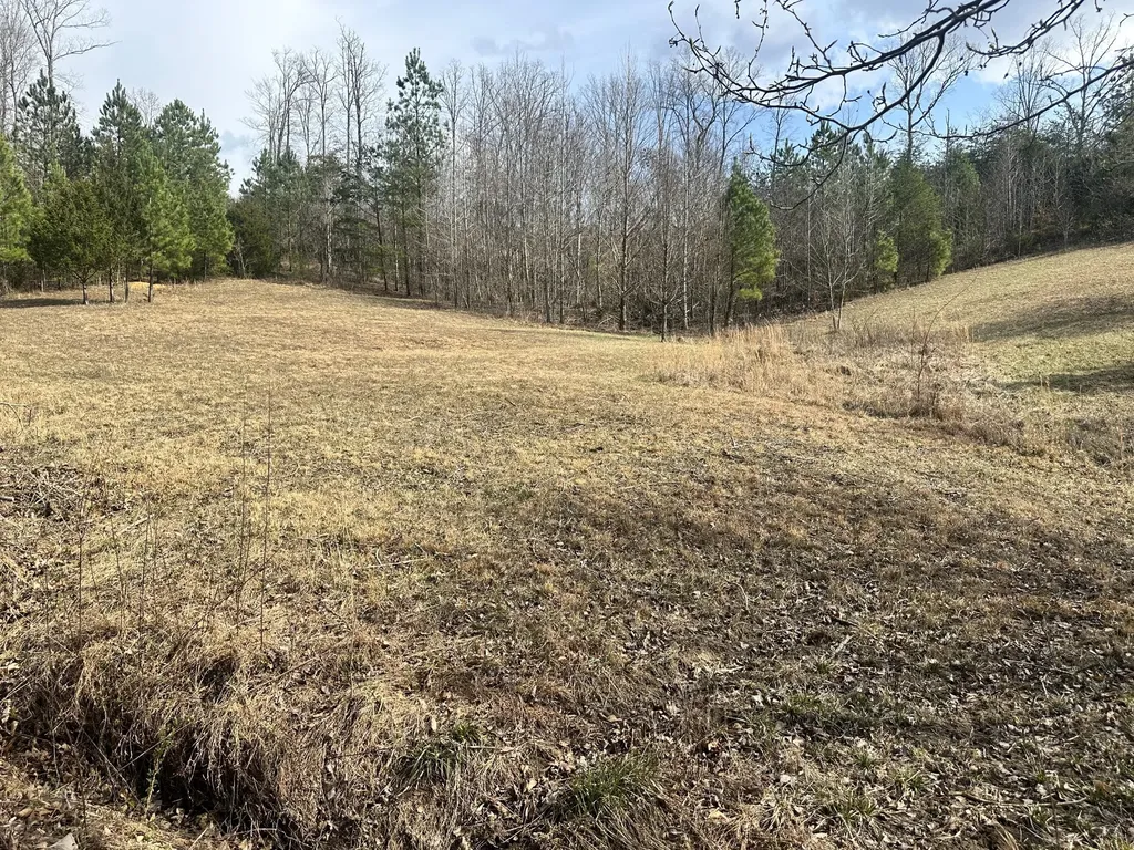 Lot 12 Tom O'ryan Road Monticello KY 42633