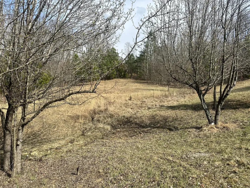 Lot 12 Tom O'ryan Road Monticello KY 42633