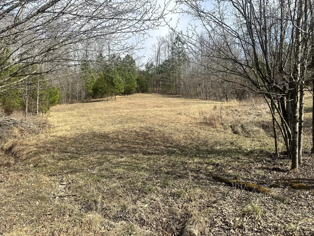 Lot 12 Tom O'ryan Road Monticello KY 42633