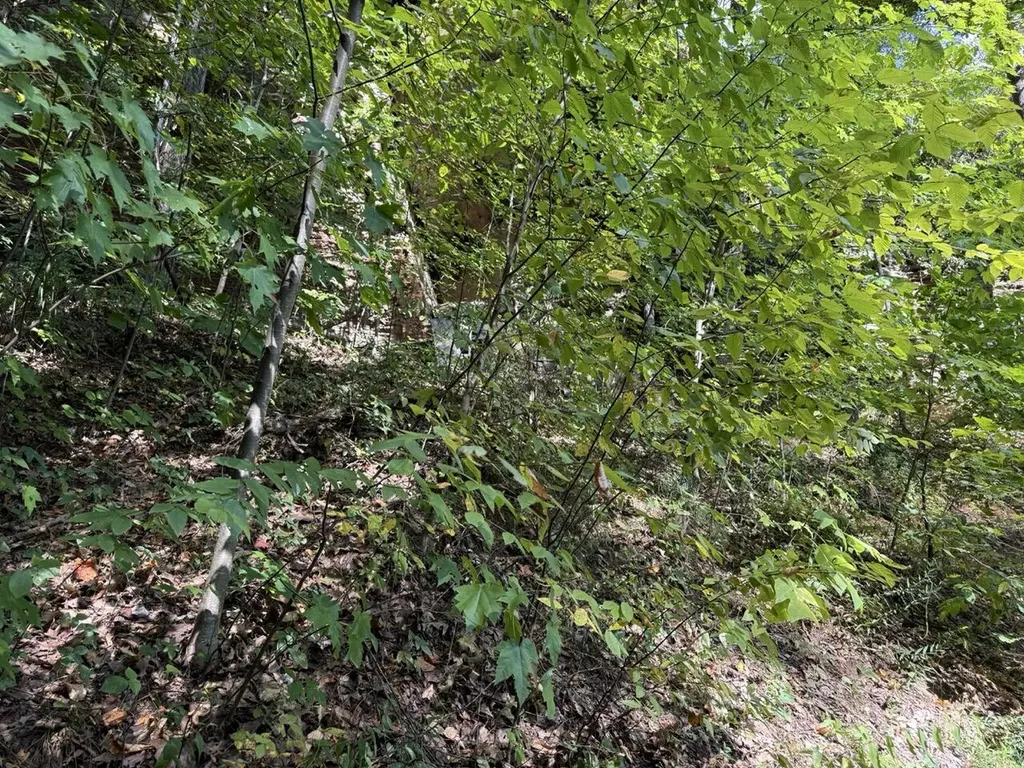 1435 Nada Tunnel Road Stanton KY 40380
