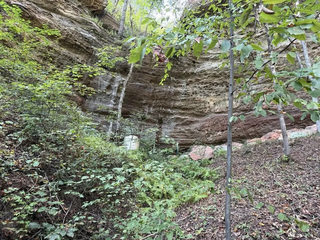 1435 Nada Tunnel Road Stanton KY 40380