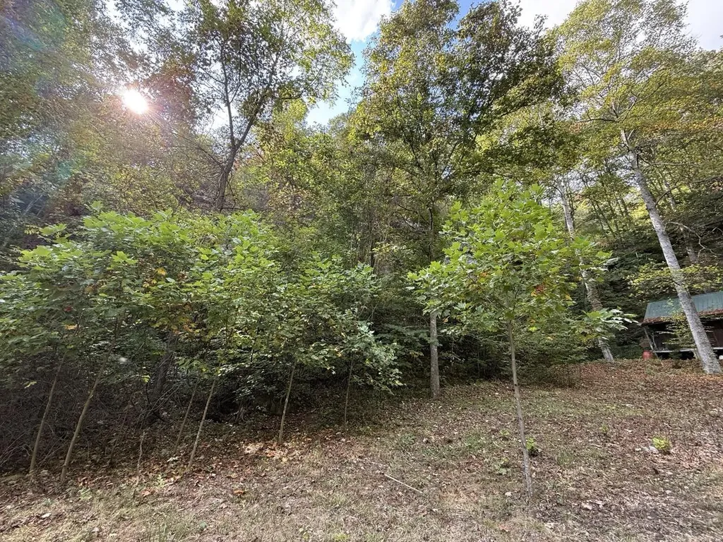 1435 Nada Tunnel Road Stanton KY 40380