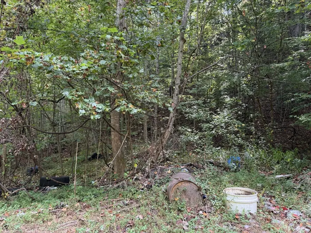 1435 Nada Tunnel Road Stanton KY 40380