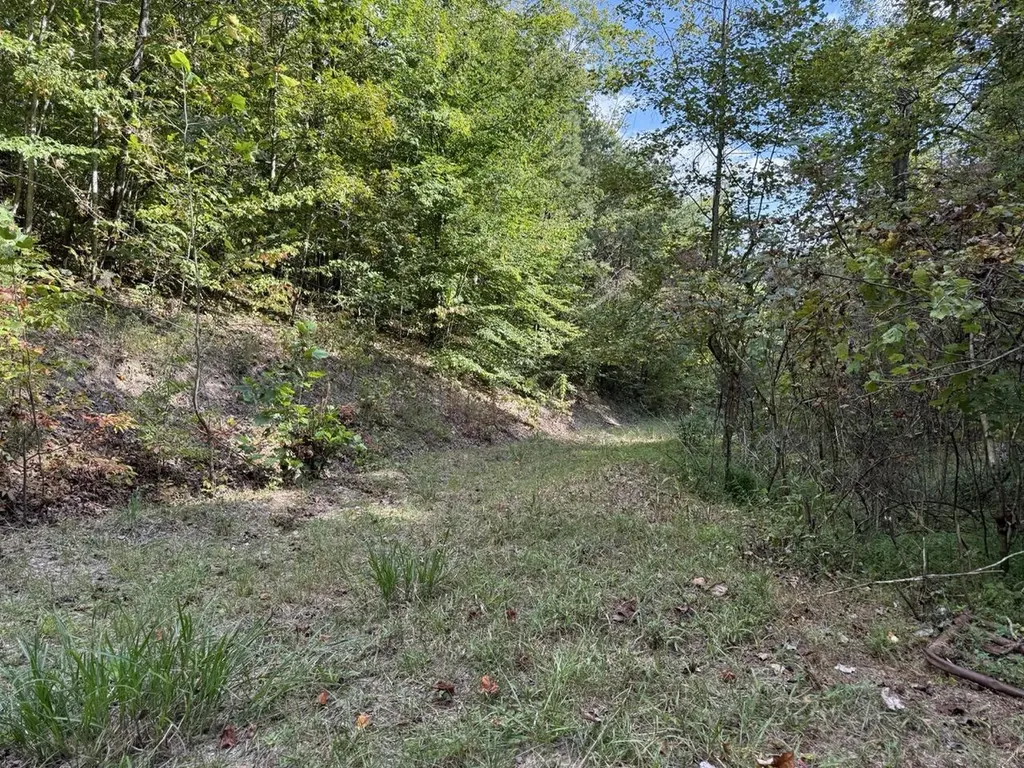 1435 Nada Tunnel Road Stanton KY 40380