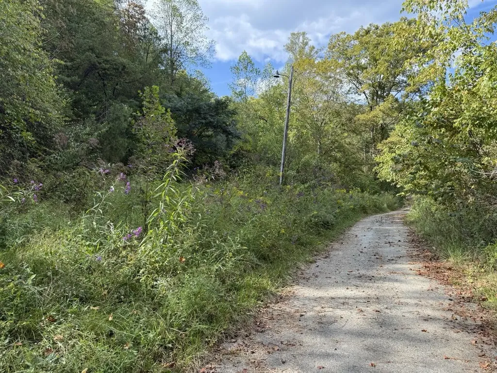 1435 Nada Tunnel Road Stanton KY 40380