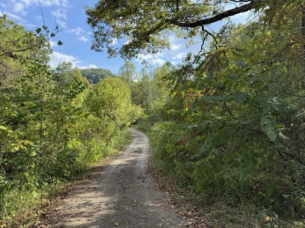 1435 Nada Tunnel Road Stanton KY 40380