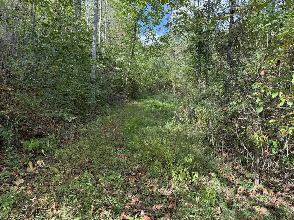 1435 Nada Tunnel Road Stanton KY 40380