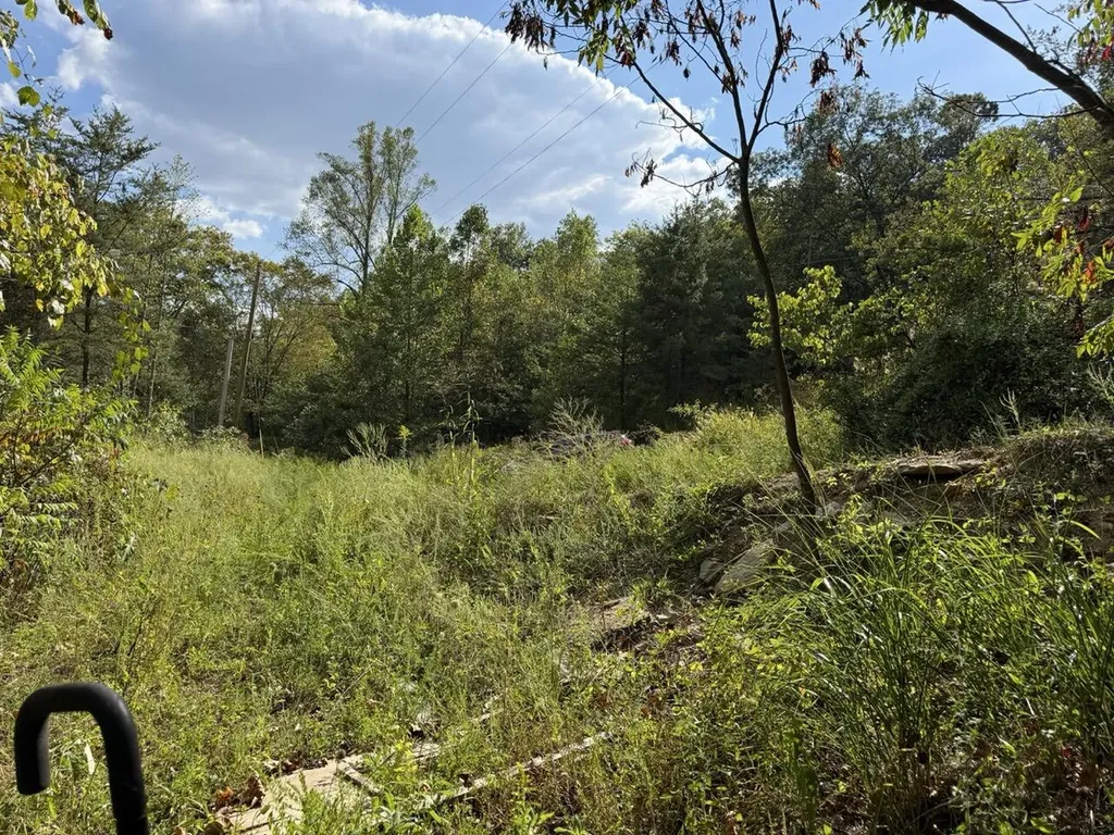 1435 Nada Tunnel Road Stanton KY 40380