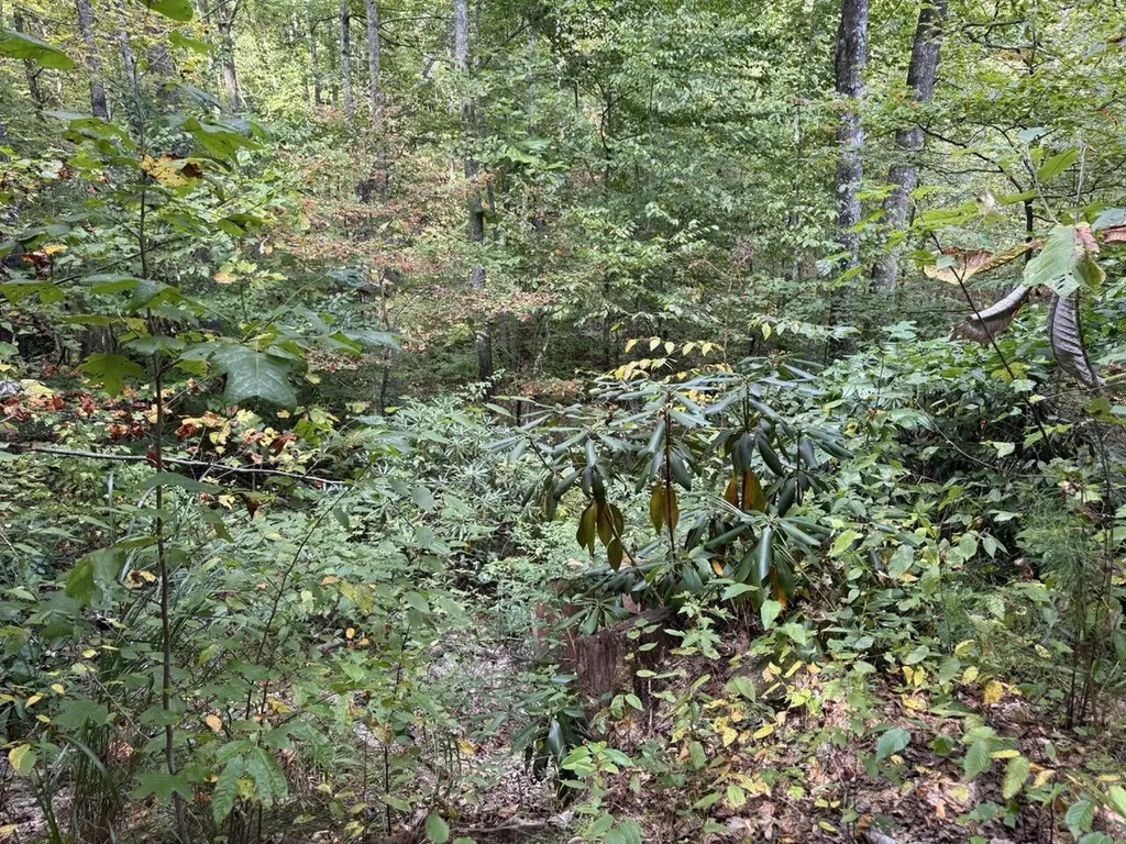 1435 Nada Tunnel Road Stanton KY 40380