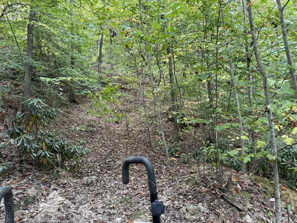 1435 Nada Tunnel Road Stanton KY 40380