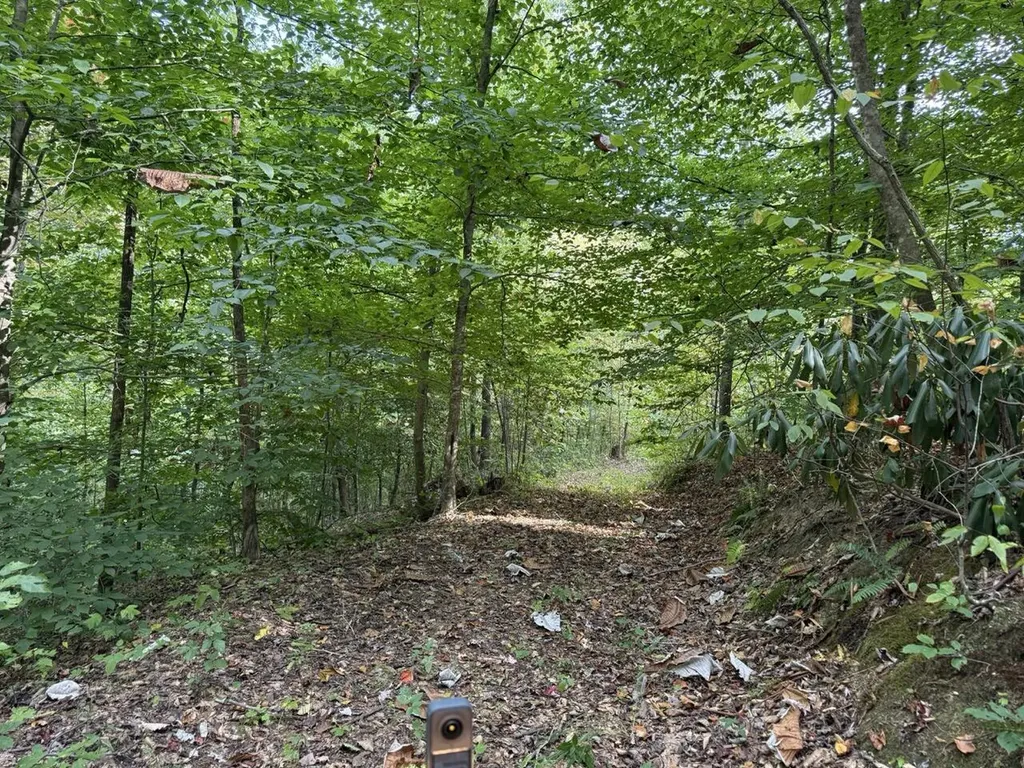 1435 Nada Tunnel Road Stanton KY 40380