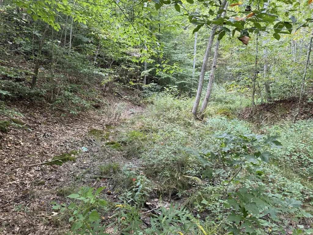 1435 Nada Tunnel Road Stanton KY 40380