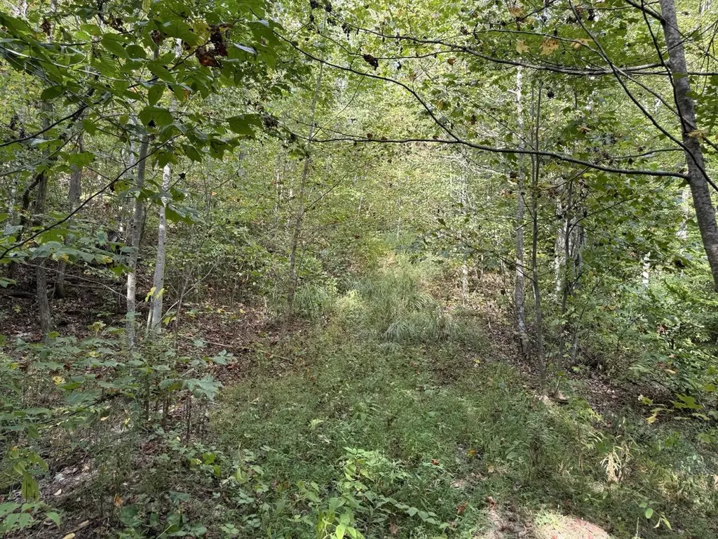 1435 Nada Tunnel Road Stanton KY 40380