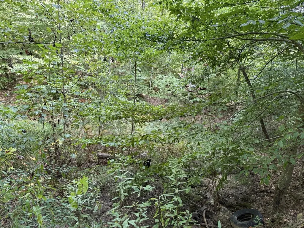 1435 Nada Tunnel Road Stanton KY 40380