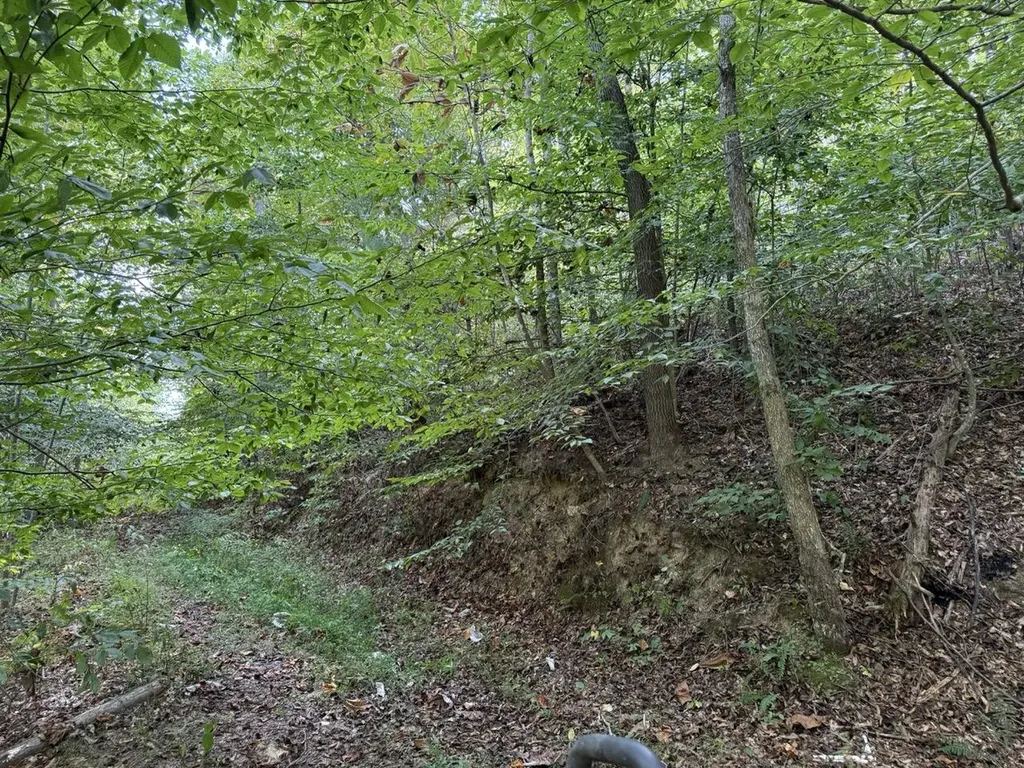 1435 Nada Tunnel Road Stanton KY 40380
