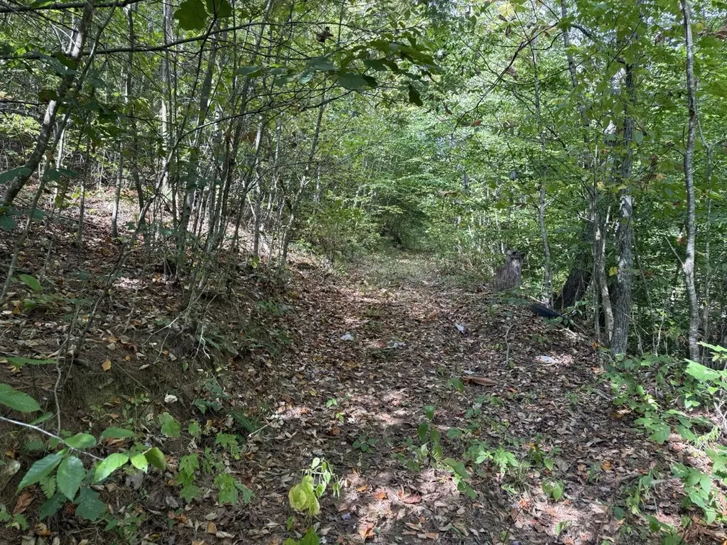 1435 Nada Tunnel Road Stanton KY 40380