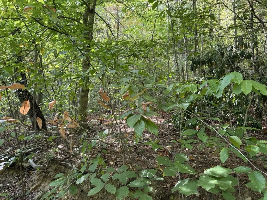 1435 Nada Tunnel Road Stanton KY 40380